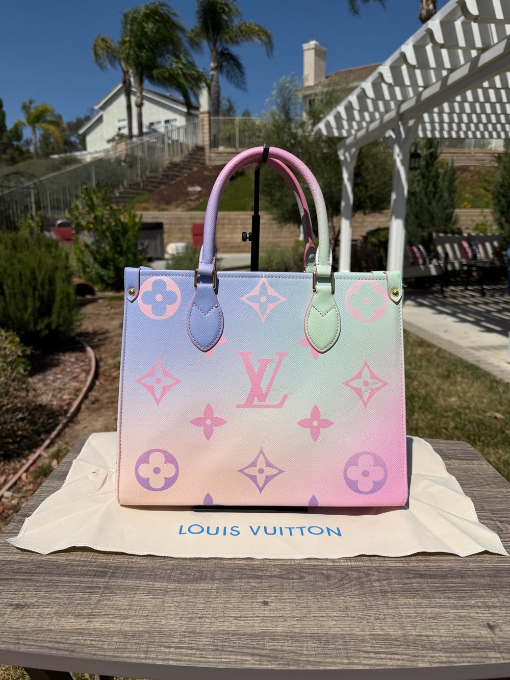 LV Bags for Sale —> - Picture 6 of 10